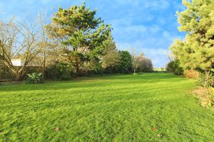 Photo 8- click for photo gallery